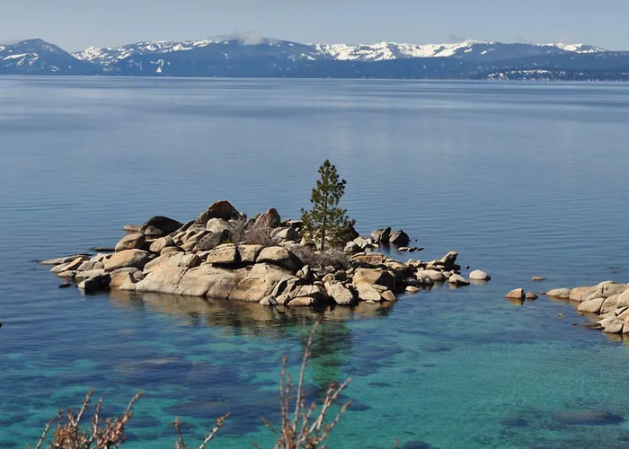 Tahoe Chaparral